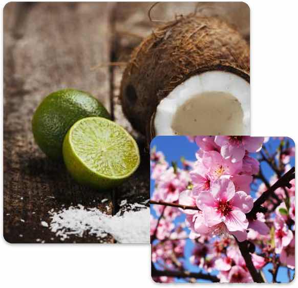 Lime, coconut, and pink flowers.