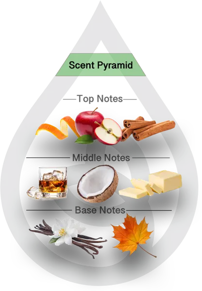 Scent Pyramid for Apples & Maple Bourbon Clean Fragrance
