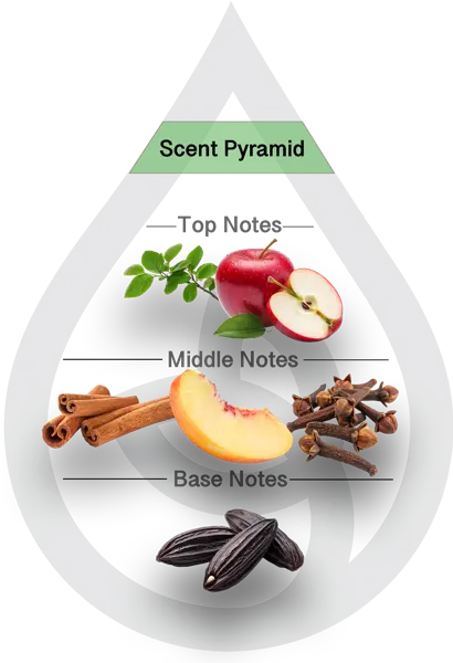 Scent Pyramid for Apple Cinnamon Clean Fragrance