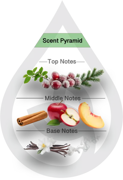 Scent Pyramid for Apple Hill Clean Fragrance