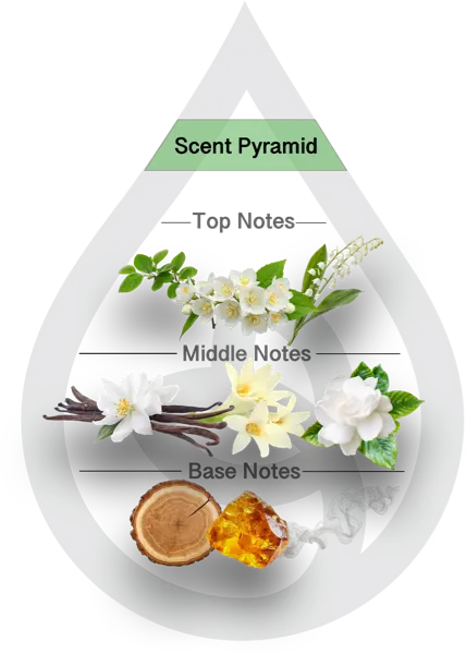 Scent Pyramid for Asian Garden Type Clean Fragrance