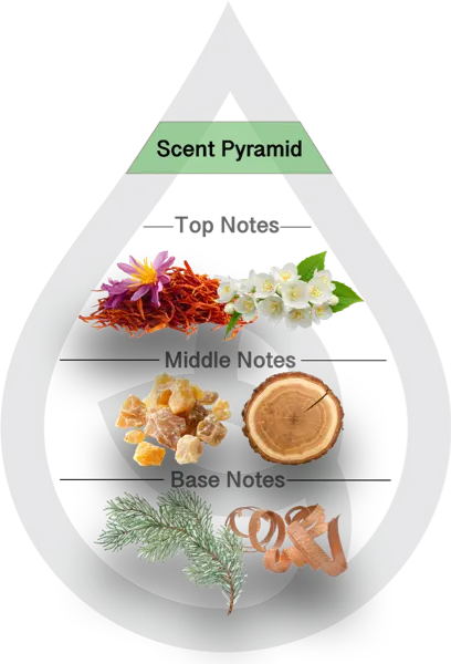 Scent Pyramid for Baccarat Clean Fragrance