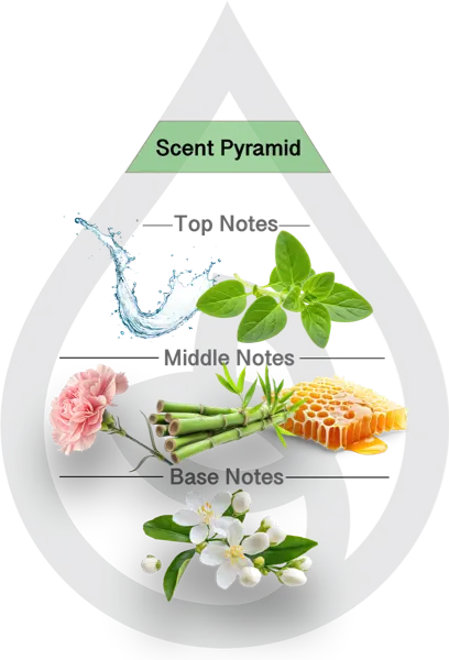 Scent Pyramid for Bamboo Clean Fragrance