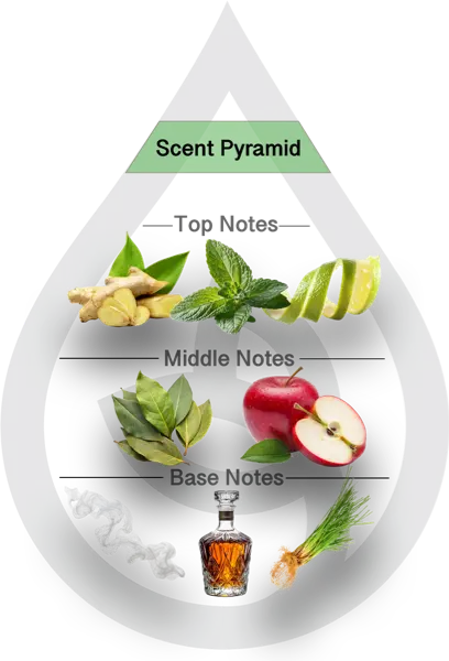 Scent Pyramid for Bluegrass Mule Clean Fragrance
