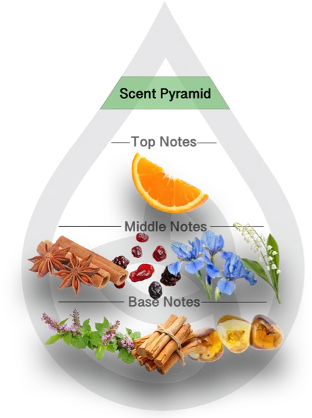 Scent Pyramid for Hidden Waterfall Clean Fragrance