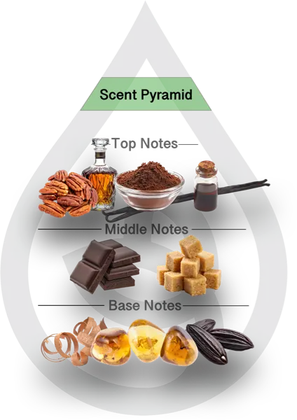 Scent Pyramid for Kentucky Bourbon Ball Clean Fragrance