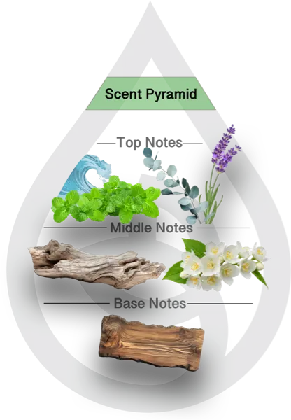 Scent Pyramid for Soap & Shine Clean Fragrance