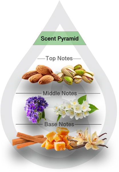 Scent Pyramid for Bum Bum Clean Fragrance
