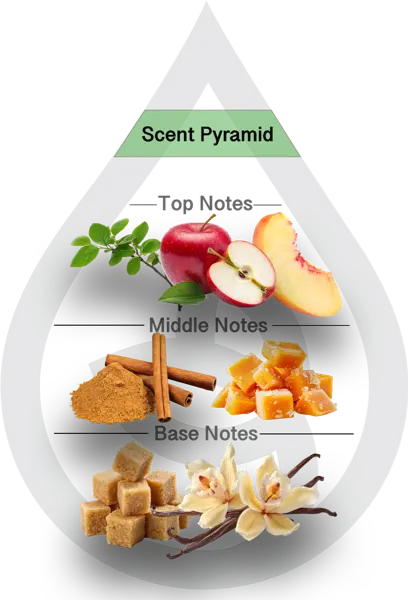 Scent Pyramid for Caramel Apple Clean Fragrance