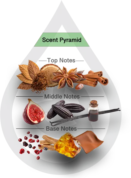 Scent Pyramid for Cigar Lounge Clean Fragrance