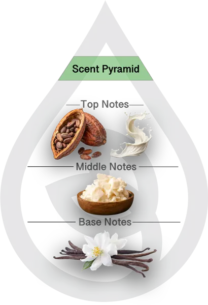 Scent Pyramid for Coco Butter Clean Fragrance