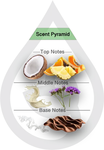 Scent Pyramid for Creamy Coconut Clean Fragrance