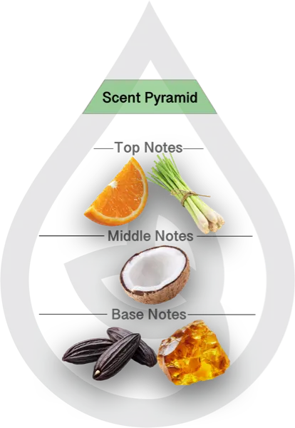 Scent Pyramid for Coconut Lemongrass Clean Fragrance
