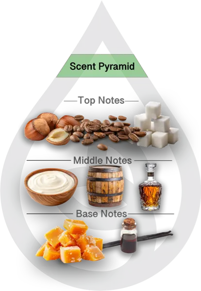 Scent Pyramid for Coffee Bourbon Cream Clean Fragrance