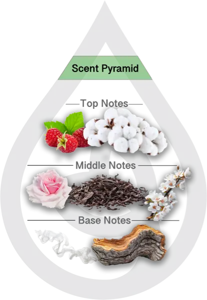 Scent Pyramid for Crystal Cove Clean Fragrance