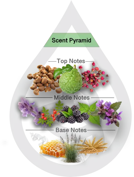 Scent Pyramid for Delicate Gardens Clean Fragrance