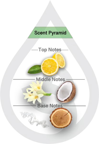 Scent Pyramid for Desert Cactus Blossom Clean Fragrance