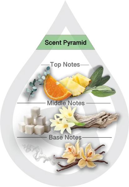 Scent Pyramid for Desert Palm Clean Fragrance