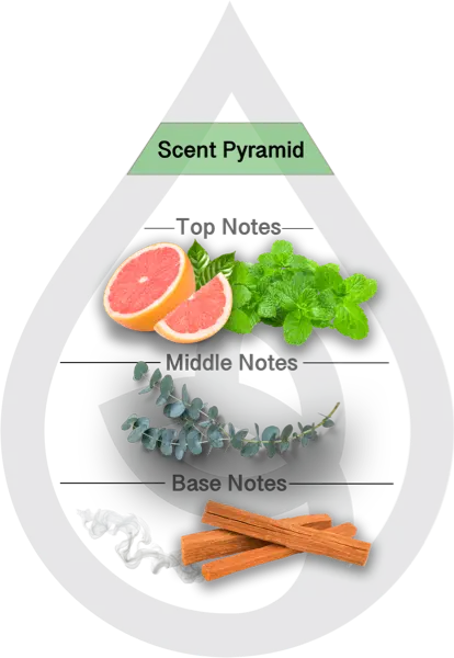 Scent Pyramid for Emerald Bay Clean Fragrance