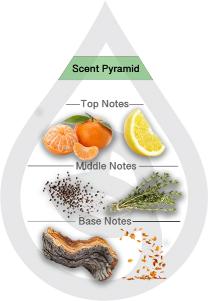 Scent Pyramid for Endless Horizon Clean Fragrance
