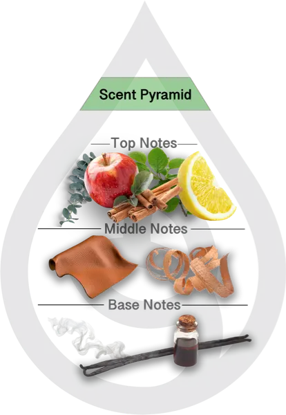 Scent Pyramid for Fall Cider Clean Fragrance