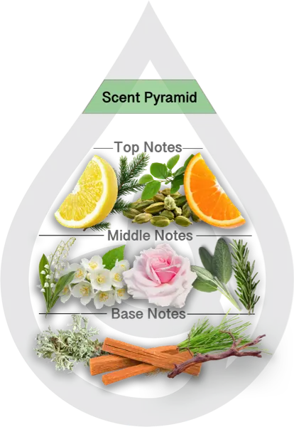 Scent Pyramid for Fierce AF Type Clean Fragrance