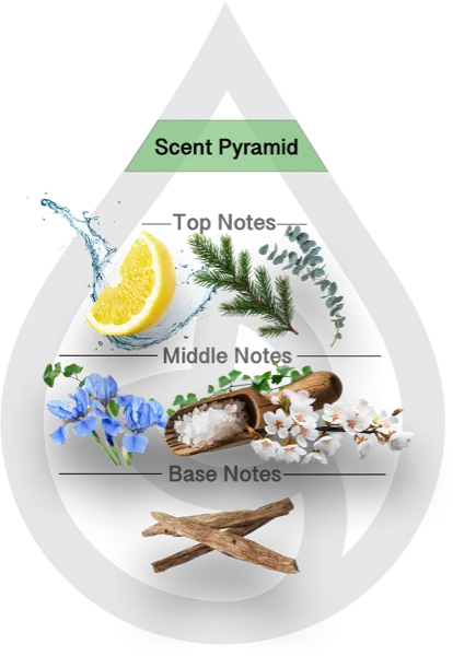 Scent Pyramid for Fir Needle Falls Clean Fragrance