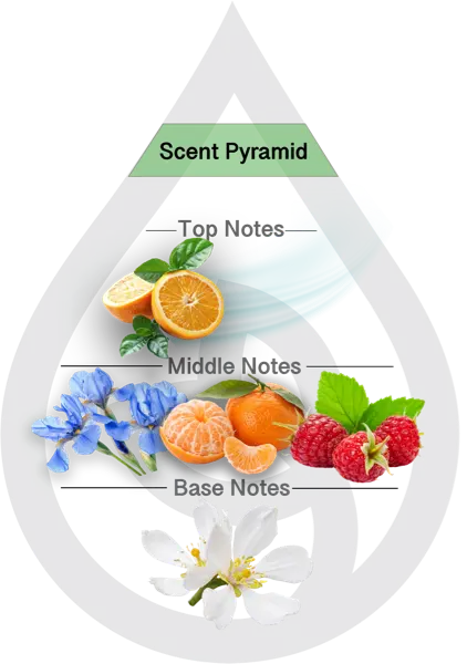 Scent Pyramid for Fresh Awakening Clean Fragrance