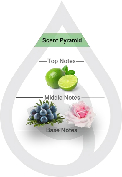 Scent Pyramid for Gin & Tonic Clean Fragrance