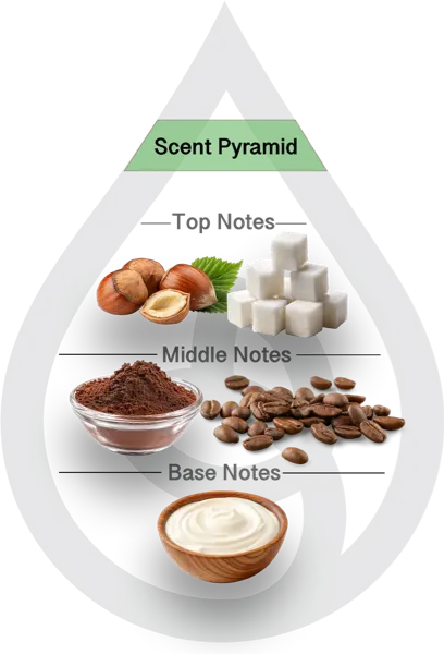 Scent Pyramid for Hazelnut Coffee Clean Fragrance
