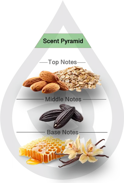 Scent Pyramid for Honey Bliss Clean fragrance