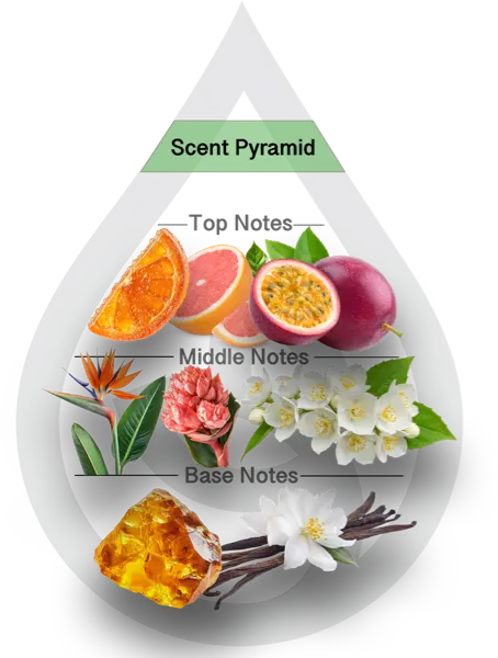 Scent Pyramid for Island Nectar Clean Fragrance