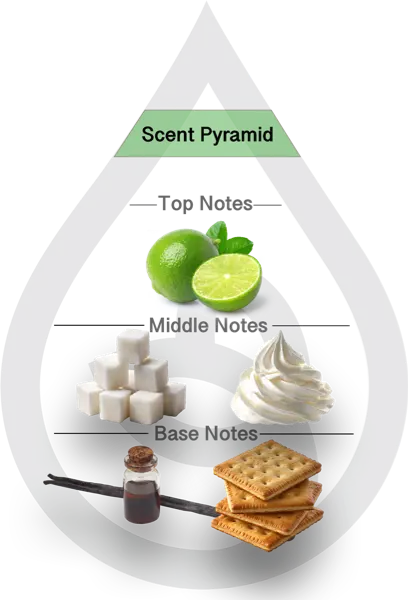 Scent Pyramid for Key Lime Pie Clean Fragrance