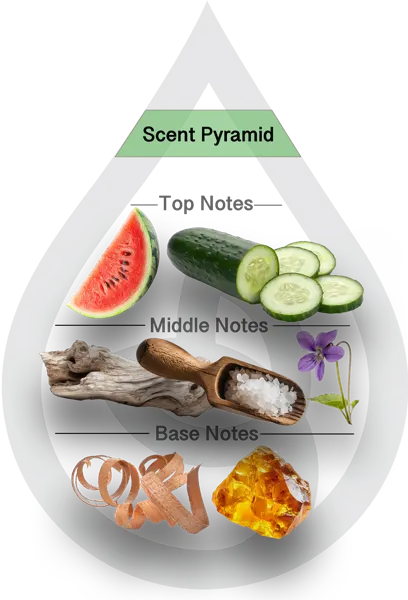 Scent Pyramid for Kindling Clean Fragrance