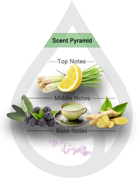 Scent Pyramid for Laguna Lemongrass Clean Fragrance