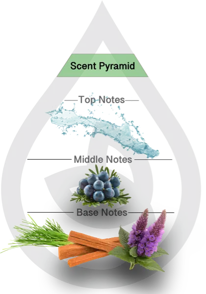 Scent Pyramid for Laundered Luxury Clean Fragrance