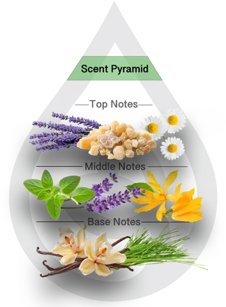 Scent Pyramid for Lavender Fields Clean Fragrance