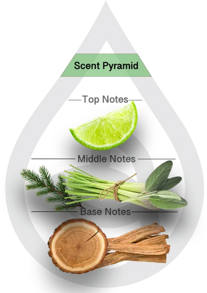 Scent Pyramid for Lemongrass & Lime Clean Fragrance