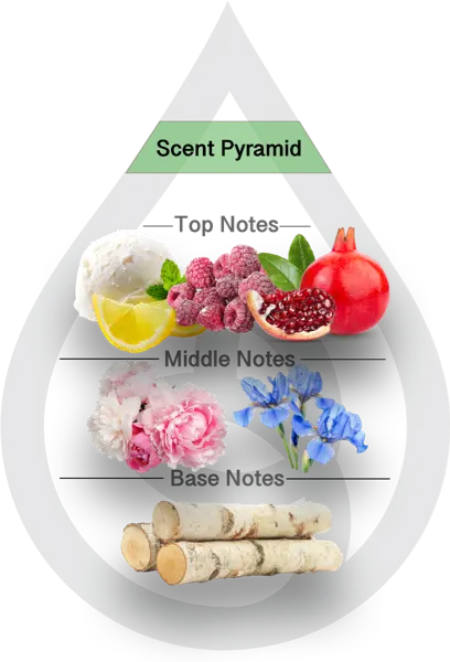 Scent Pyramid for Lemon Pomegranate Clean Fragrance