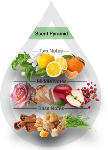 Scent Pyramid for Lemon Shine Clean Fragrance