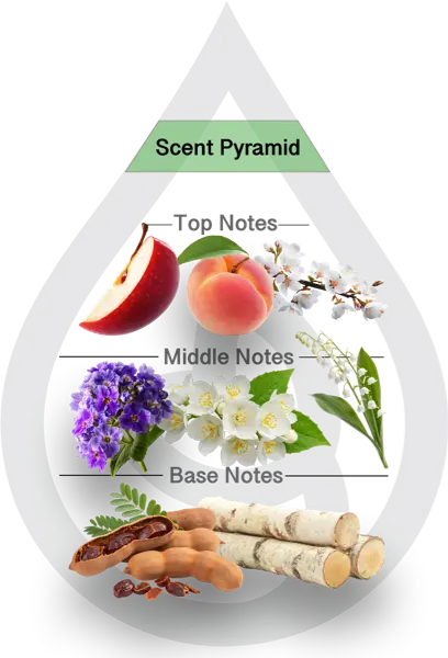Scent Pyramid for Love Spell Clean Fragrance