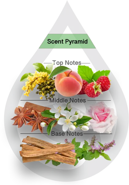 Scent Pyramid for Lush Oasis Clean Fragrance