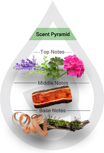 Scent Pyramid for Mahogany & Teakwood CF