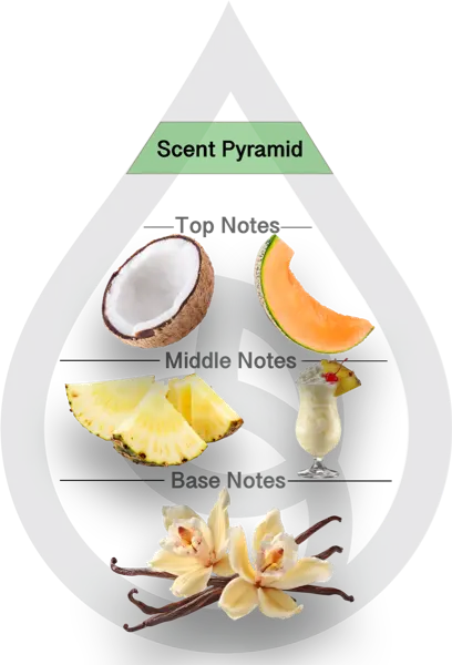 Scent Pyramid for Malibu Clean Fragrance