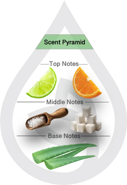 Scent Pyramid for Lime Margarita Clean Fragrance