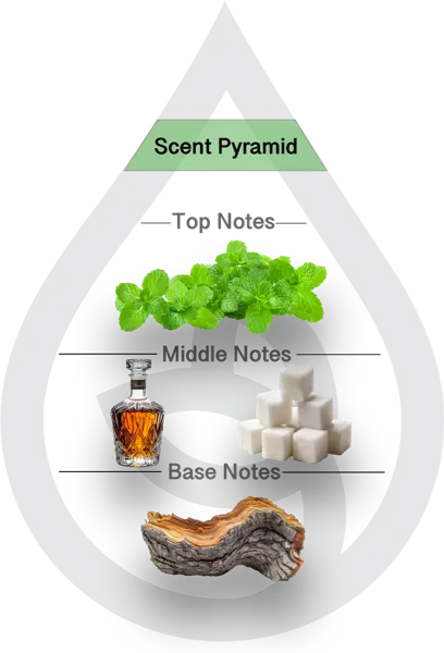 Scent Pyramid for Mint Julep Clean Fragrance