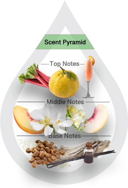 Scent Pyramid for Peach Bellini Clean Fragrance
