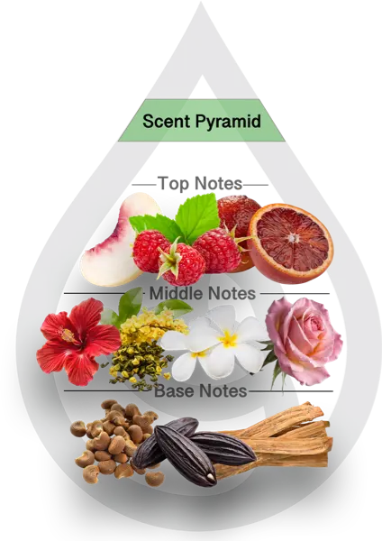 Scent Pyramid for Peach Hibiscus CF + Hawaiian Sandalwood