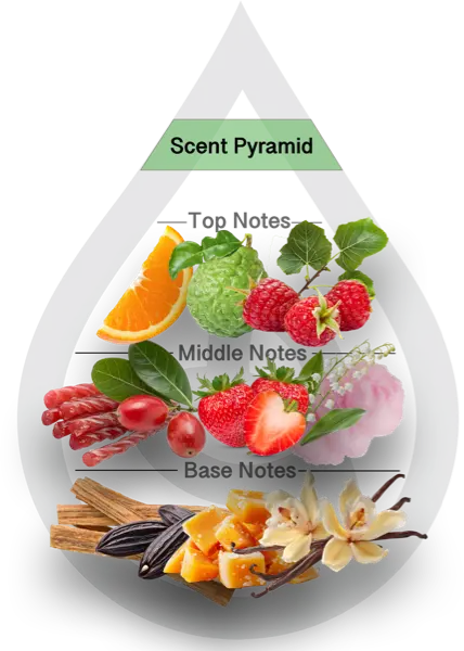 Scent Pyramid for Pink Velvet Clean Fragrance