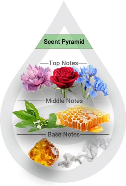Scent Pyramid for Rule the Roost CF